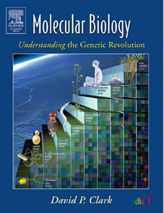 Molecular Biology : Understanding the Genetic Revolution