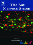 The Rat Nervous System