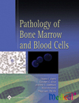 Pathology of Bone Marrow and Blood Cells