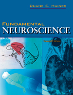 Fundamental Neuroscience