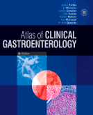 Atlas of Clinical Gastroenterology-3판 Textbook with CD-ROM