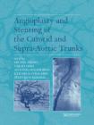Angioplasty and Stenting of the Carotid and Supra-Aortic Trunks
