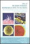An Atlas of Human Female Reproductive Function : Ovarian Development to Early Embryogenesis After In-Vitro Fertilization