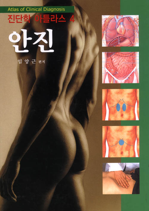 진단학아틀라스-안진