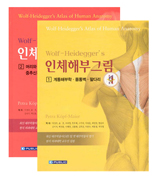 Wolf-Heidegger's인체해부그림(2vols)
