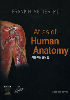 원색인체해부학(제4판):CIBA 번역판