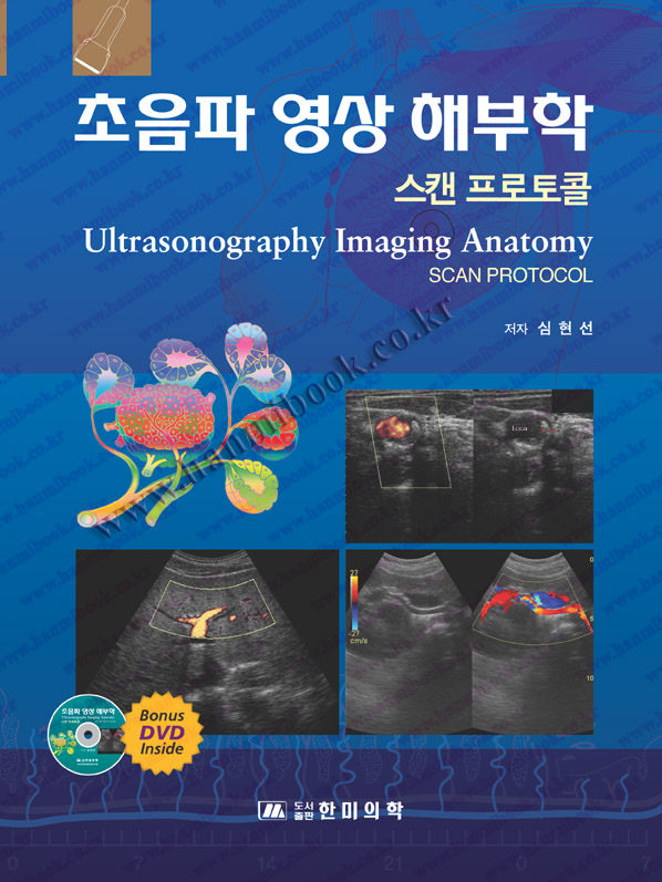 초음파영상해부학(DVD-동영상포함)