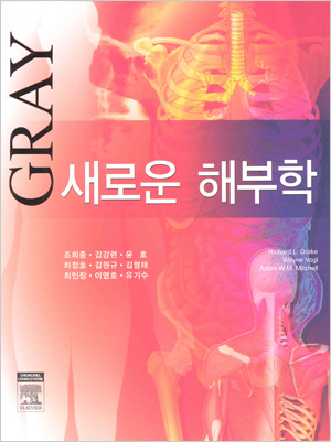 Gray 새로운 해부학