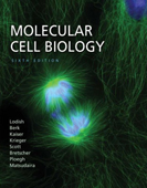 Molecular Cell Biology 6/e