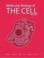 Molecular Biology of the Cell 5/E (Paperback)(BK+CD)