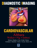 Diagnostic Imaging: Cardiovascular