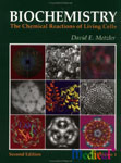 Biochemistry:The Chemical Reactions of Living Cells voㅣ.1 2/e