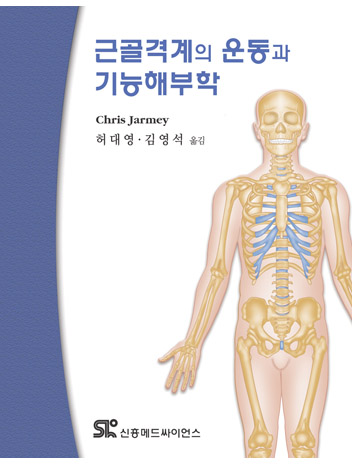 근골격계의 운동과 기능해부학