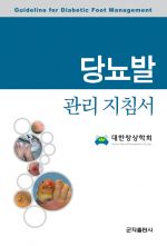 당뇨발관리지침서