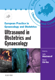 Ultrasound in Obstetrics and Gynaecology Book and CD-ROM