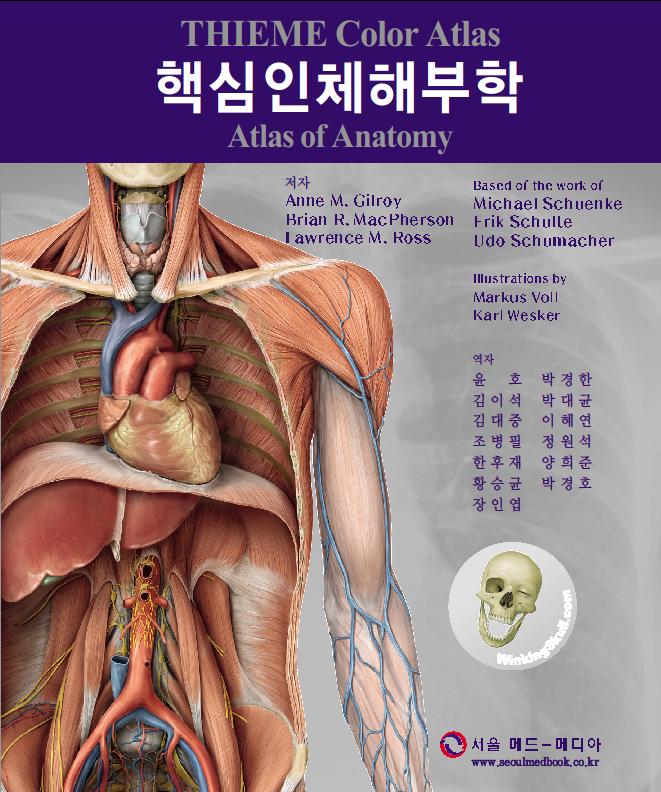 THIEME Color Atlas 핵심인체해부학: Atlas of Anatomy