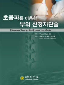 초음파를 이용한 부위 신경차단술