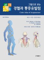 그림으로보는 경혈과 통증유발점