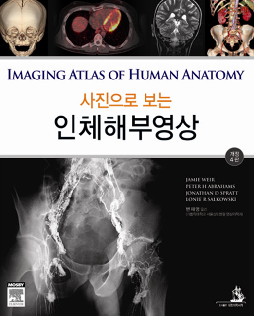 사진으로 보는 인체해부영상-4판