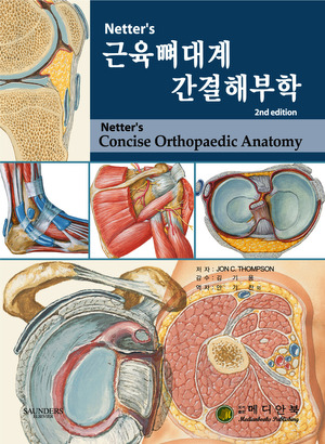 Netter's 근육뼈대계 간결해부학