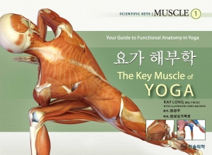 요가 해부학(1-MUSCLE)