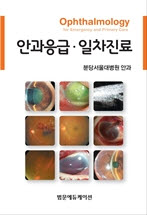 안과응급일차진료