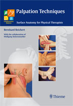 Palpation Techniques Surface Anatomy for Physical Therapists