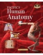 PACIFIC'S Human Anatomy