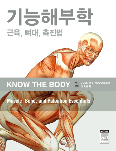 기능해부학