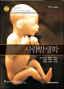 사람발생학(12판):Langman's Medical Embryology