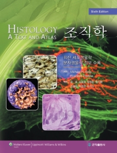 조직학 6판