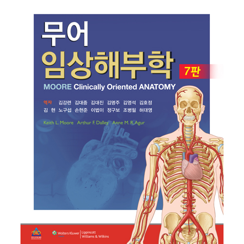 무어 임상해부학 7판