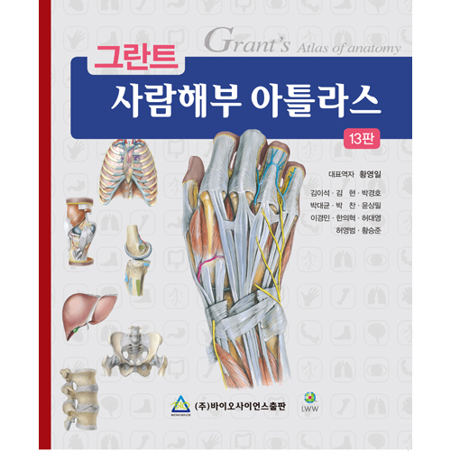 그란트 사람해부 아틀라스 13판