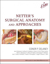 Netter's Surgical Anatomy and Approaches-1판