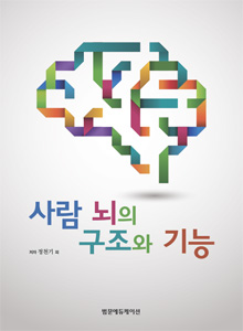사람 뇌의 구조와 기능
