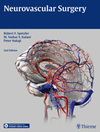 Neurovascular Surgery 2/e