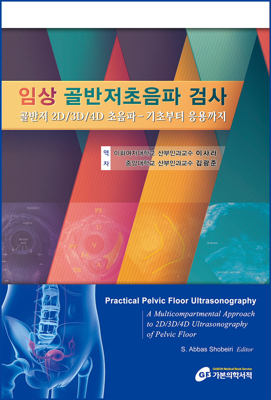 임상골반저초음파검사(질초음파 항문초음파 방광초음파)