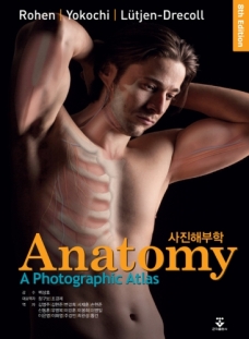사진해부학