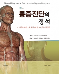 통증진단의 정석