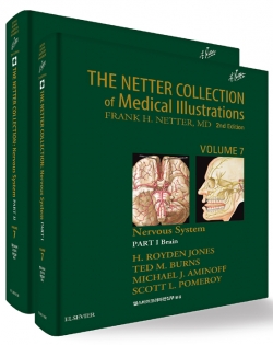 THE NETTER COLLECTION OF MEDICAL ILLUSTRATIONS: 신경계통 (2권 Set)