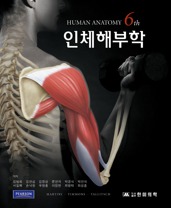 인체해부학 6판 - Martini