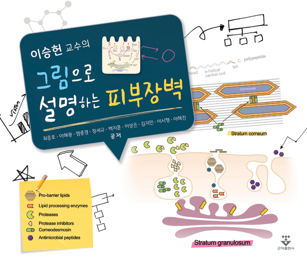 이승헌교수의 그림으로 설명하는 피부장벽
