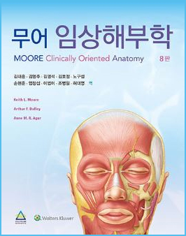 무어 임상해부학-8판