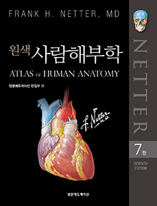 원색사람해부학-7판
