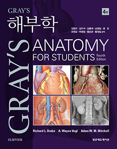 Gray`s 해부학-4판