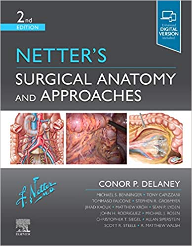 Netter's Surgical Anatomy and Approaches-2판