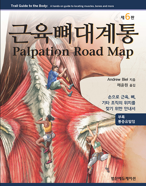 근육뼈대계통-6판
