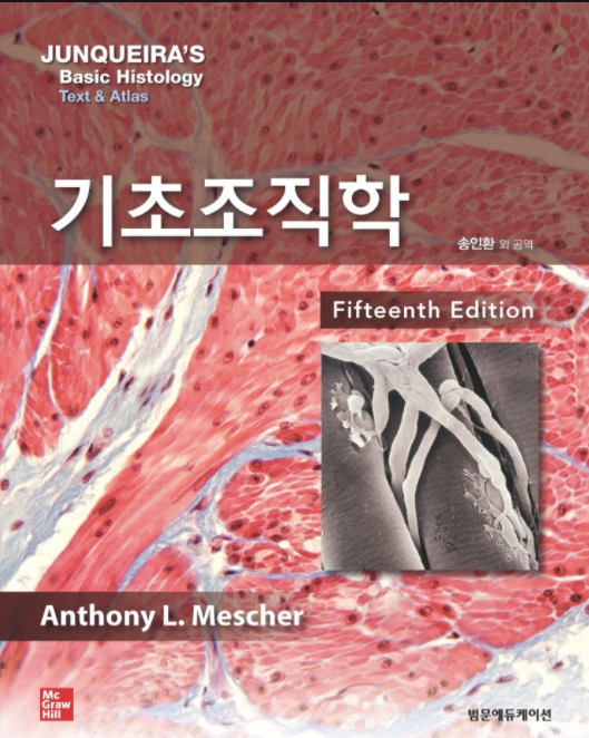 기초조직학-15판