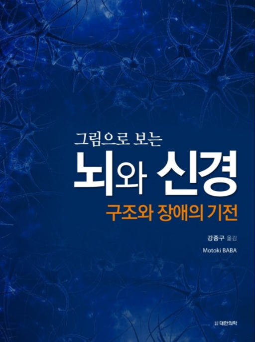 그림으로 보는 뇌와 신경