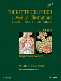 THE NETTER COLLECTION: VOL3 호흡기계통-2판